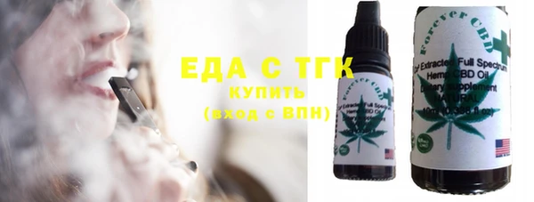 хмурый Почеп