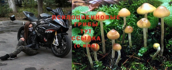 прущие крисы Армянск