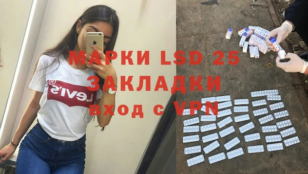 молекула духа Арсеньев