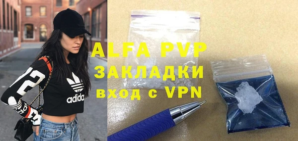 молекула духа Арсеньев