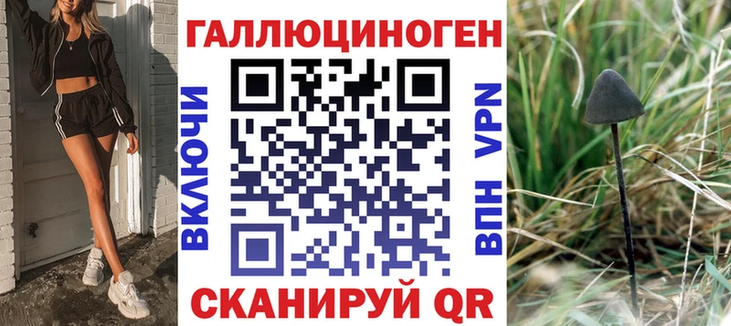 купить сайты Чаплыгин Псилоцибиновые грибы Psilocybine cubensis